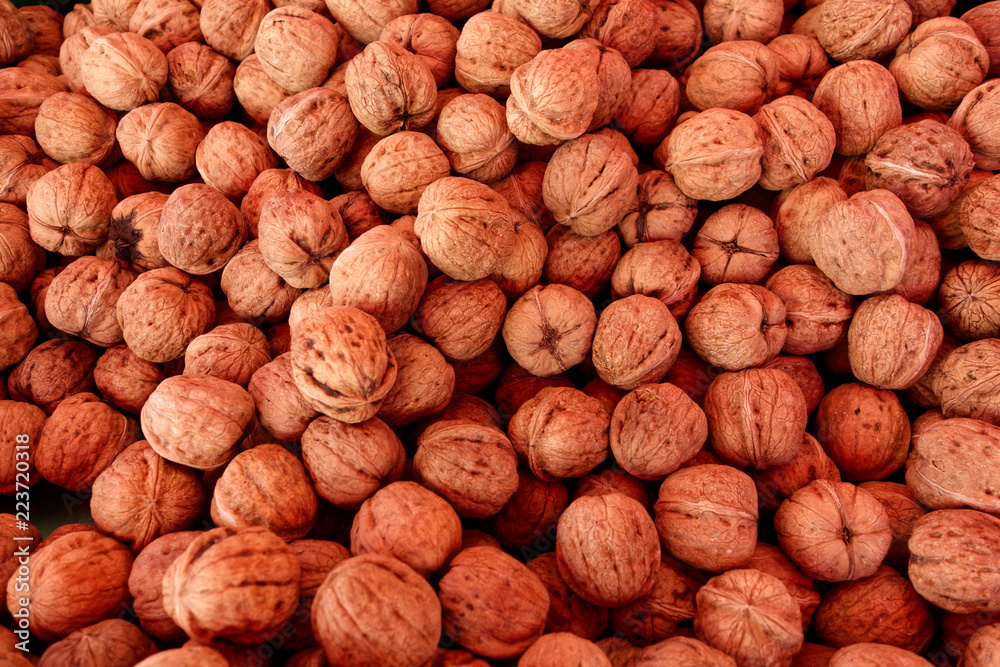 Pile of nuts. A walnut is the nut of any tree of the genus Juglans