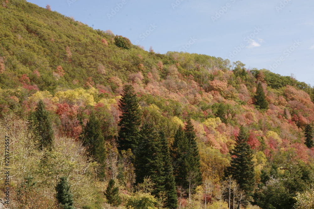 autumn in the mountains autumn in the mountains