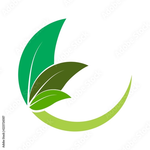C letter with leaf logo