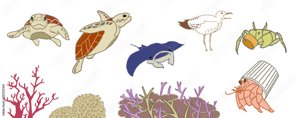 海のいきものたち 海のいきものたち