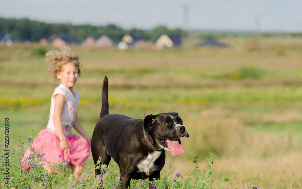 Amstaff Mix with little girl on running on meadow. Amstaff Mix with little girl on running on meadow.