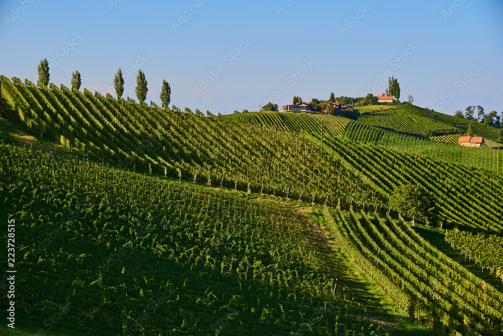 Austria Vineyards hills Sulztal an der Weinstrasse south Styria , wine country tourist spot.
