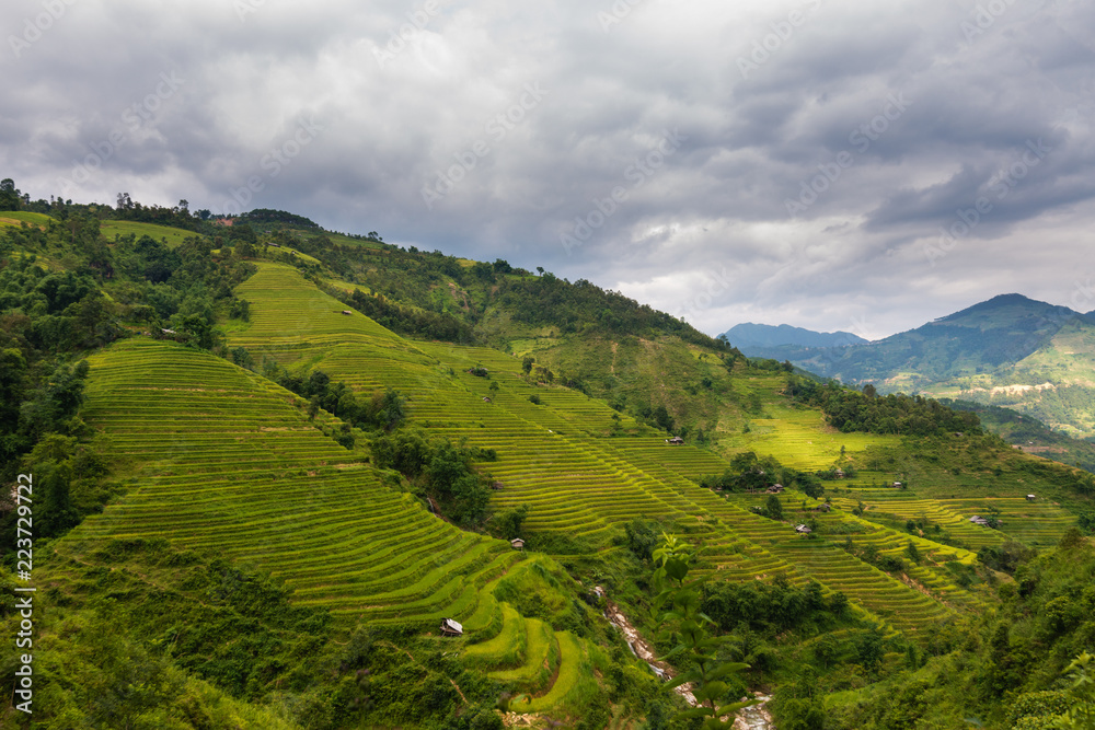 Fototapeta premium Terraces field in Hoang Su Phi, Ha Giang, Vietnam