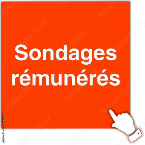 bouton sondages rémunérés