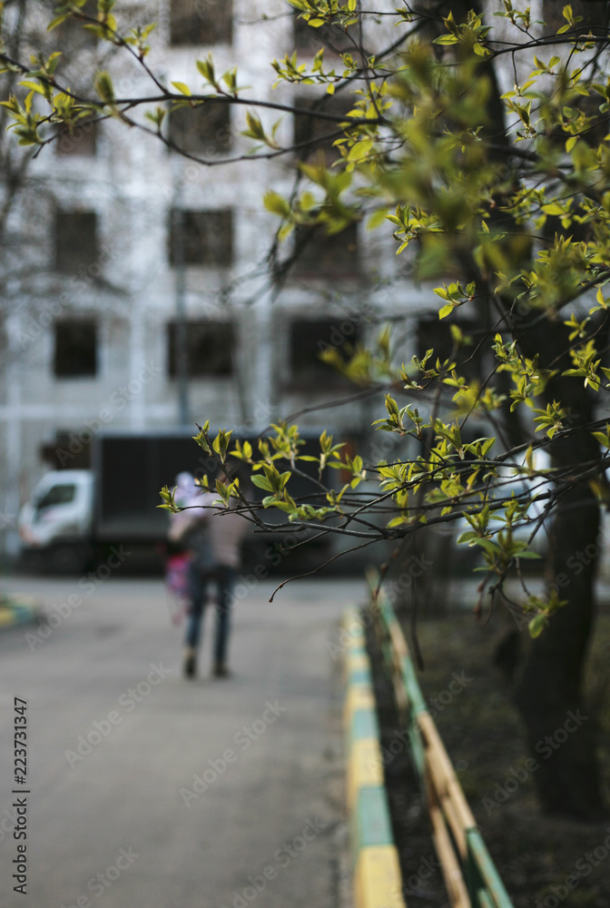 Fototapeta premium walking in park