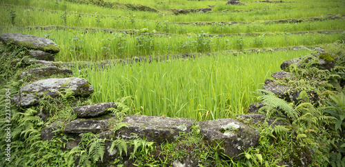 Obraz na płótnie rural nepal