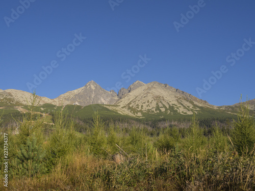 Tatra Mountains range gold colored sunrise light ,from Tatranska Lomnice with green trees and grass. Early autumn panorama photo