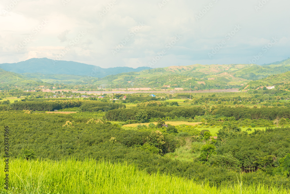 Panorama of mountains and rice fields with road and beautiful sky