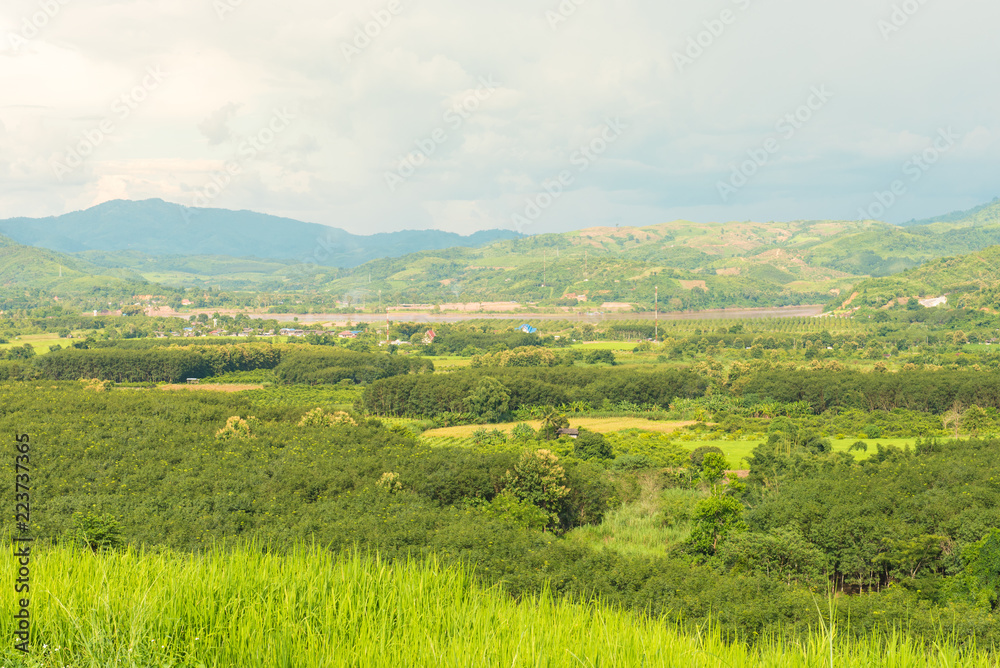 Panorama of mountains and rice fields with road and beautiful sky Panorama of mountains and rice fields with road and beautiful sky