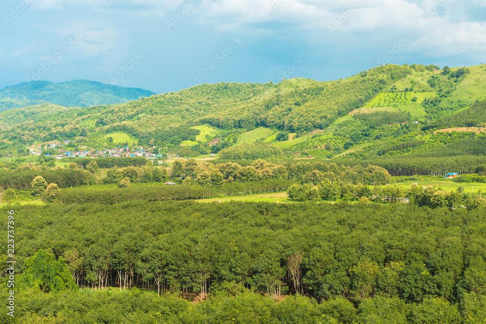 Panorama of mountains and rice fields with road and beautiful sky Panorama of mountains and rice fields with road and beautiful sky