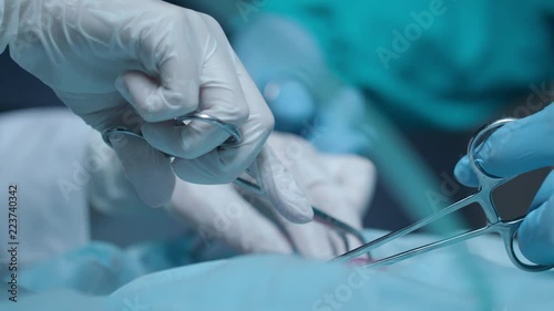 Surgery operation. Close up of surgery hands take off wadding tampon in blood. Doctor hand care wound. Surgical treatment concept. Medical hands performing operation with surgery tools photo