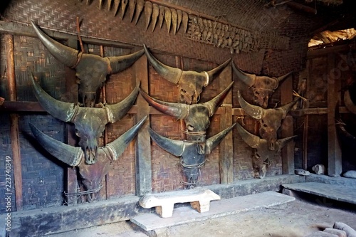 various animal skulls, decoration for longhouse, Longwa, Nagaland, India photo