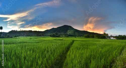 Sun setting and rice fields in the evening rainy season in Thailand View of a typical landscape of Turiec region, northern Slovakia... © sirisakboakaew