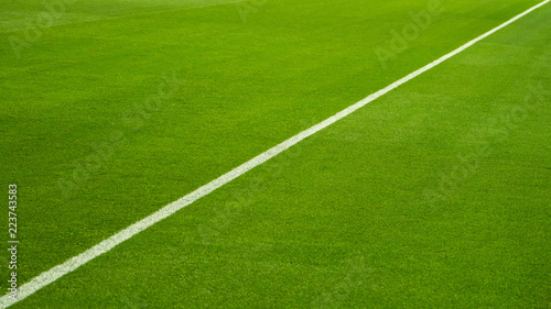 closeup of football (soccer) field with green grass © bulgn