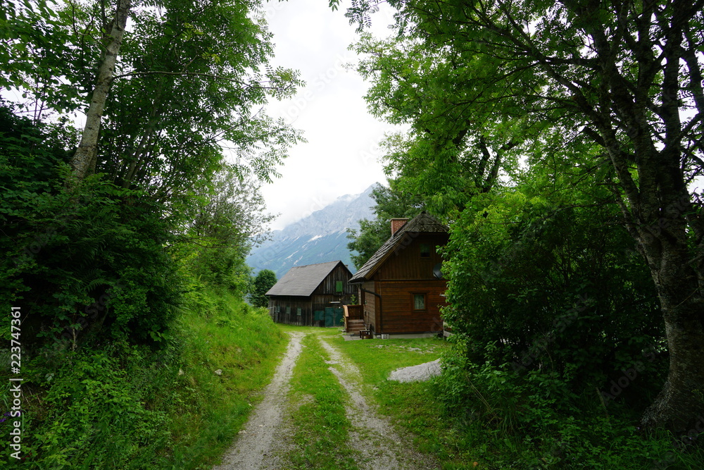Hüttentraum Hüttentraum