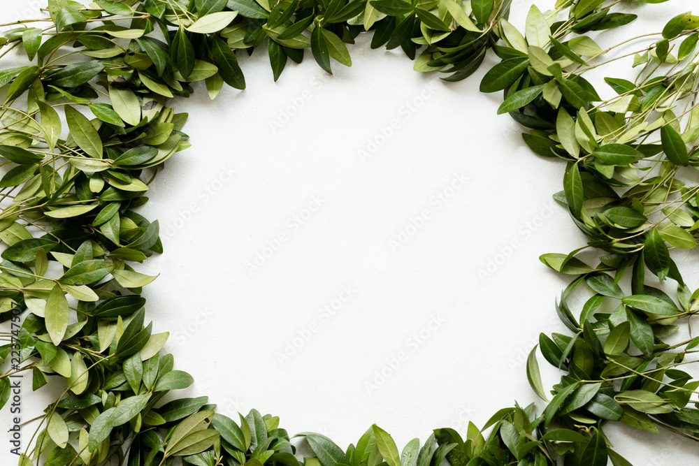 Naklejka premium periwinkle leaves wreath on white background. green foliage circle. floristry botany and natural decor. empty space concept.