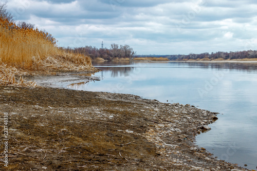 The coast of the late fall river with yellow dry reed