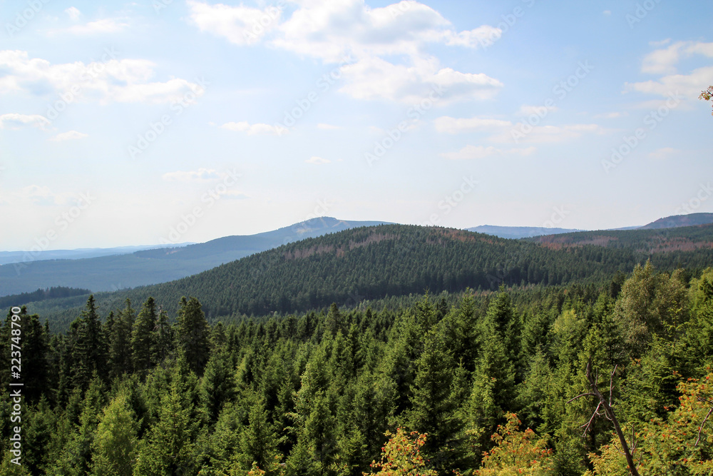 Landschaft im Harz, Felsen, Bäume