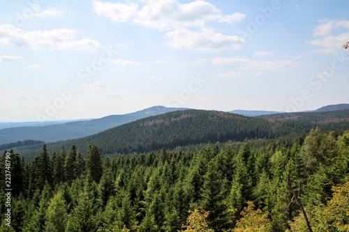 Landschaft im Harz  Felsen  B  ume