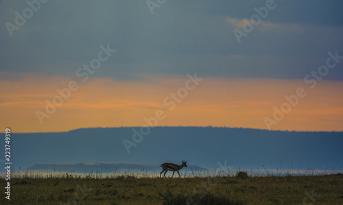 Masai Mara Landscape © Pradeep