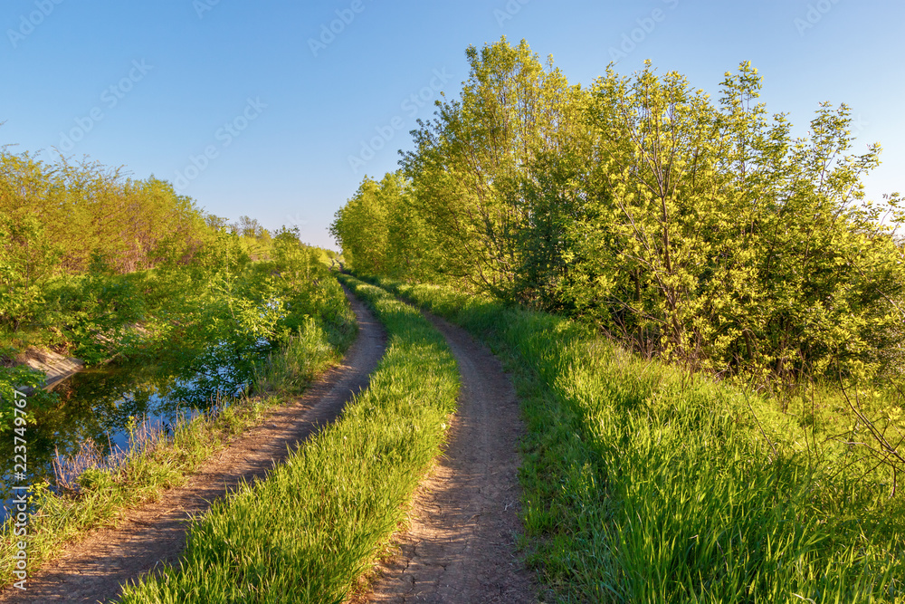 Naklejka premium The ground road leading along water channel