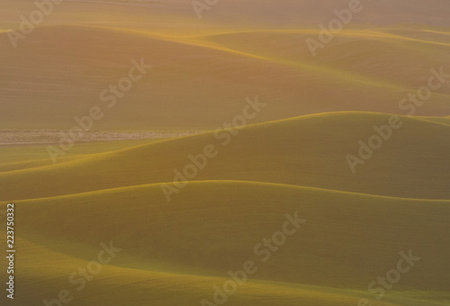 rolling hills of the Palouse in Eastern Washington © Patricia Thomas 