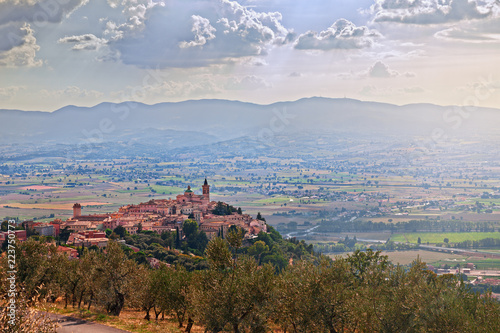 Trevi, Perugia, Umbria, Italy: landscape with the ancient hill town and olive trees