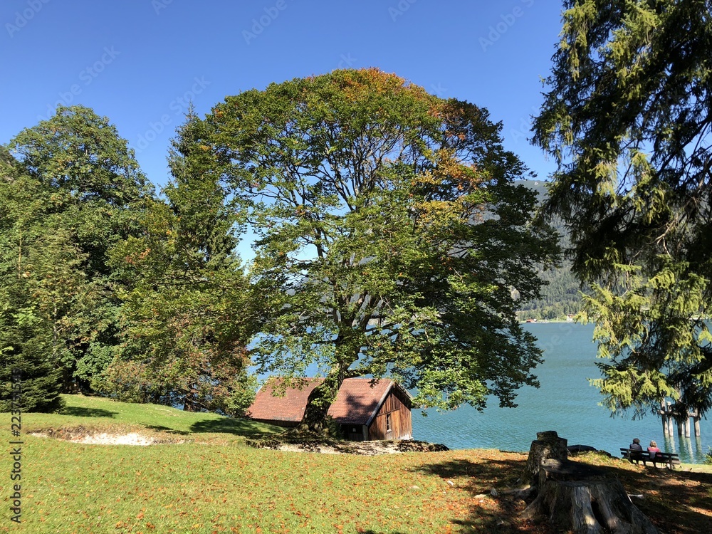 Obraz premium Achensee in Tirol, Bezirk Schwaz, Wanderweg zwischen Pertisau und Achenkirch über die Gaisalm