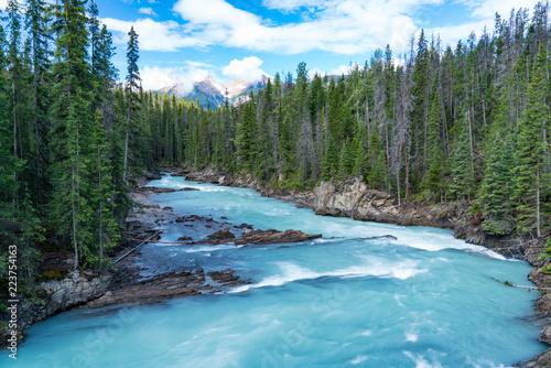 Glacier River in Yoho National Park, Canada photo