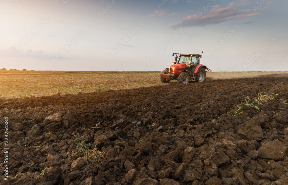Fototapeta premium Farmer plowing stubble field