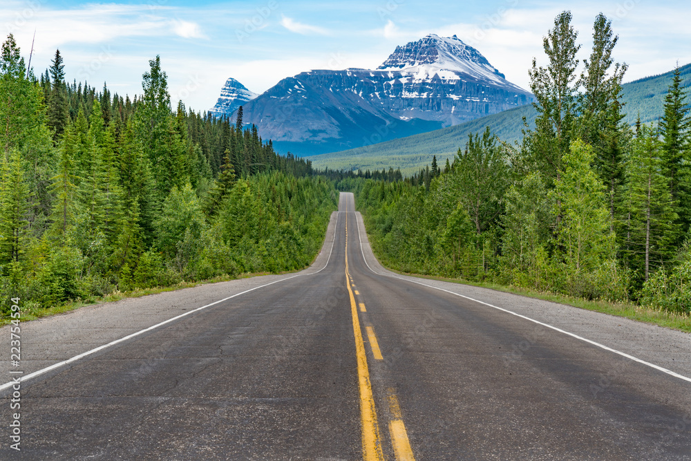 Fototapeta premium Road Along the Icefields Parkway