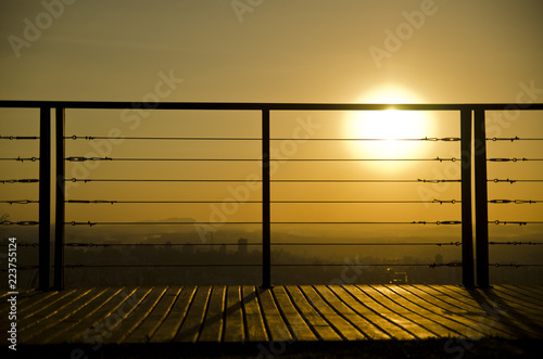 Sunny window