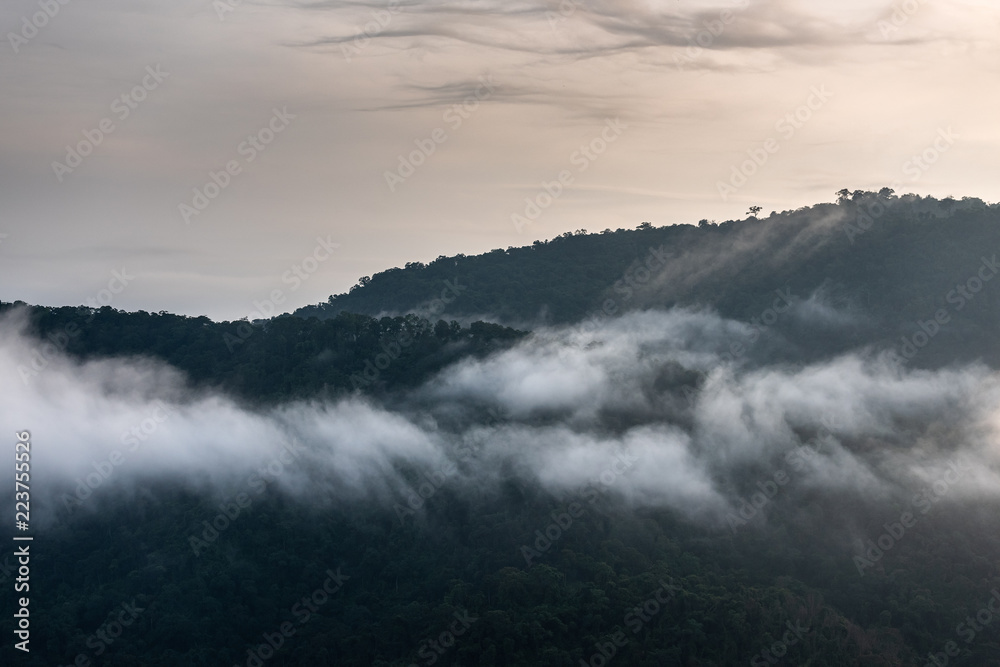 Foggy mountains Khao Yai National Park Foggy mountains Khao Yai National Park