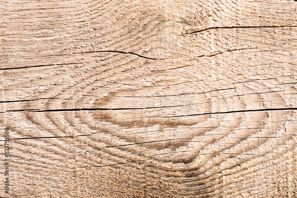 texture of a dried wooden board texture of a dried wooden board