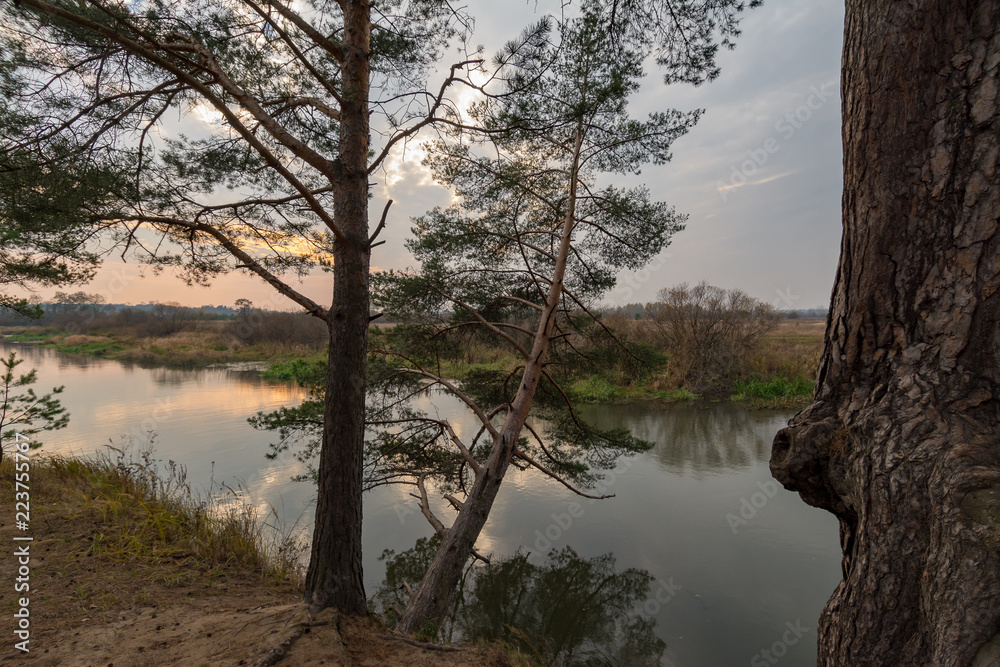 Summer evening landscape on the river Sherna with pine trees on the shore. Summer evening landscape on the river Sherna with pine trees on the shore.