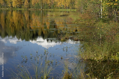 lakes in autumn forest