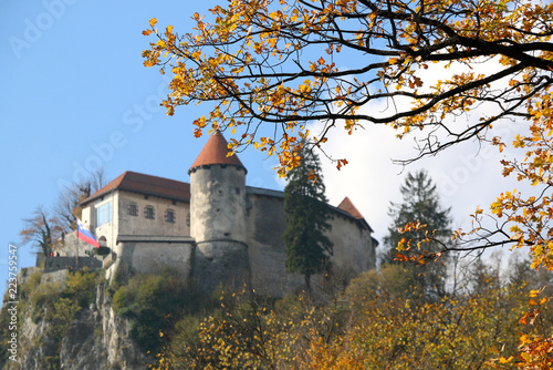 Autumn trees at Lake Bled, Slovenia. Bled Castle in the background. Lake Bled is popular travel destination in Slovenia.