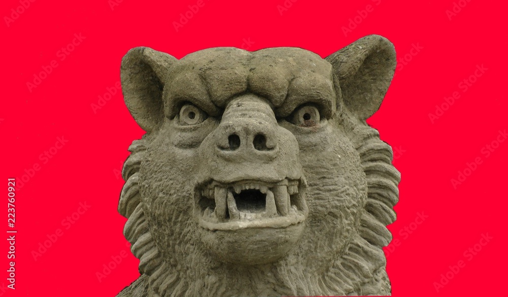 Dragon face of a bear skull