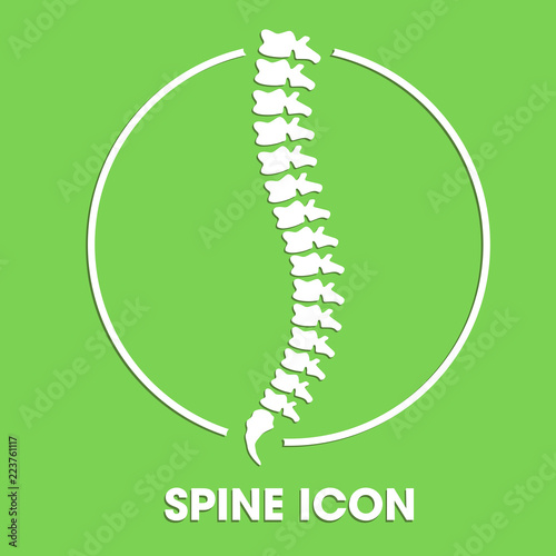 Wirbelsäule Diagnose Icon grün