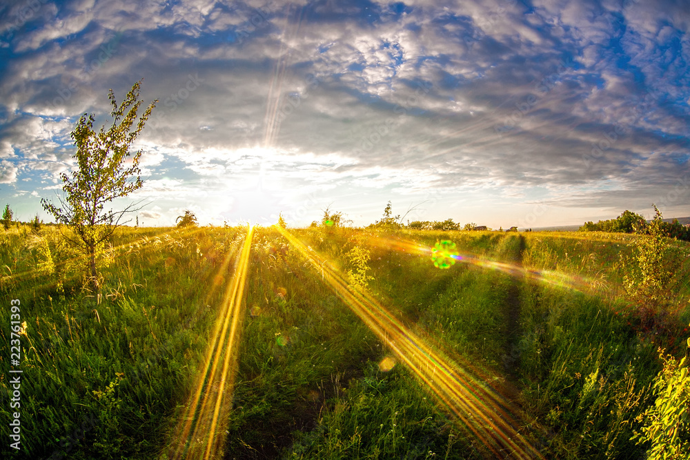 Obraz premium Russian vastnesses. Sunset in the field. Place - Middle Don, Russia, Liski Area of Voronezh Region
