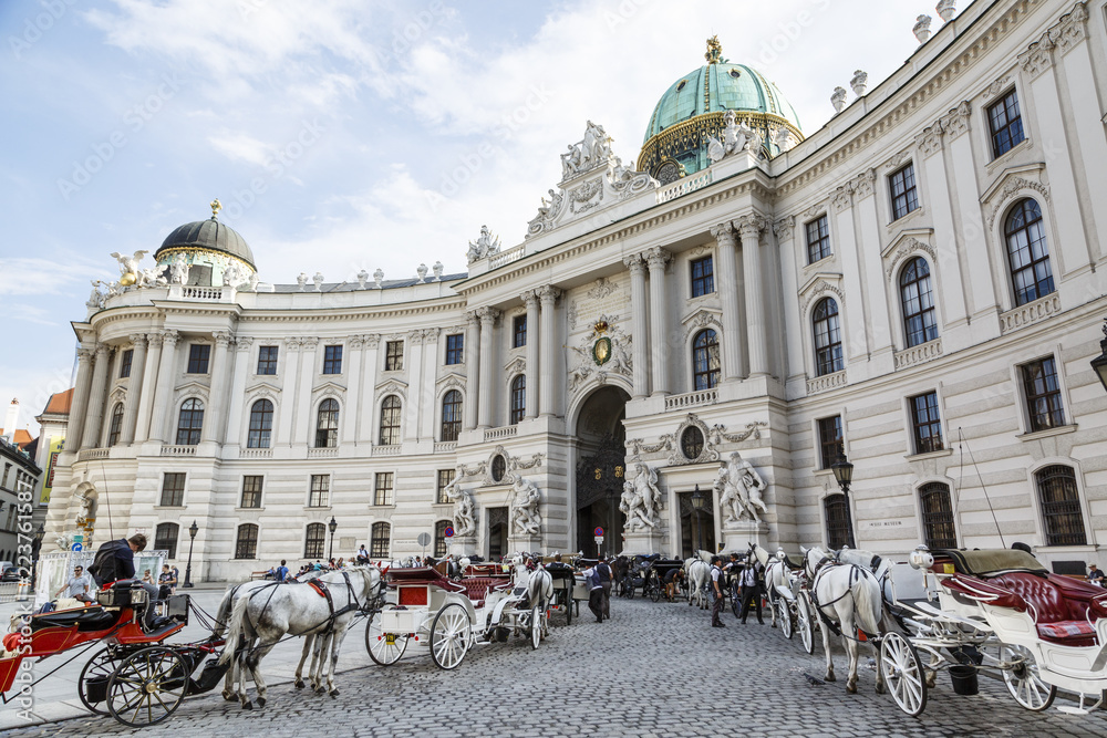 © Yadid Levy - Horse drawn carriages in front of the Hofburg Palace, Vienna, Austria.