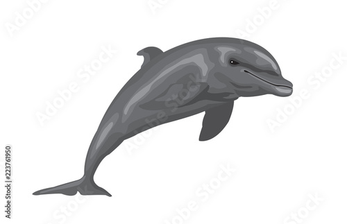 dolphin cartoon jumping