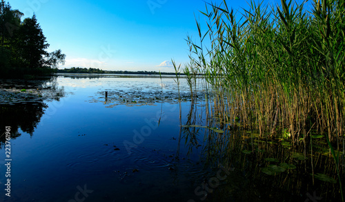 Fototapeta Naklejka Na Ścianę i Meble -  lake in the city Lepel (Belarus)