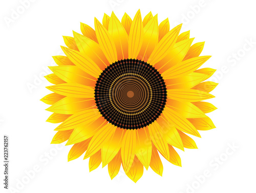 Fototapeta Naklejka Na Ścianę i Meble -  Sunflower Icon