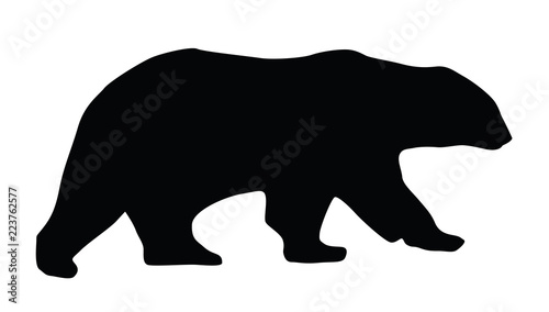 bear silhouette © amin11mario