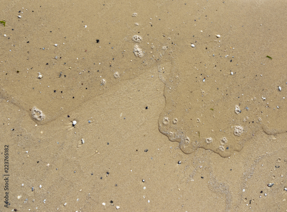 texture of yellow wet sea sand texture of yellow wet sea sand