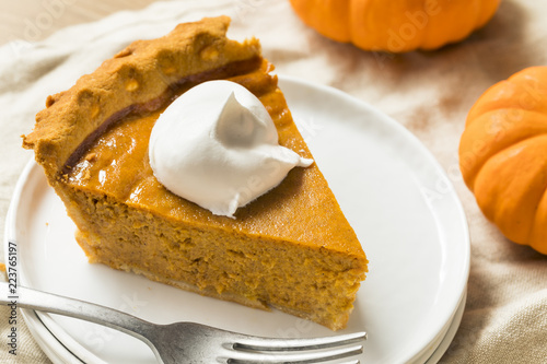 Sweet Homemade Thanksgiving Pumpkin Pie photo