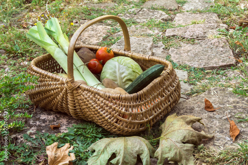 Vegetables from a farm in a wicker basket