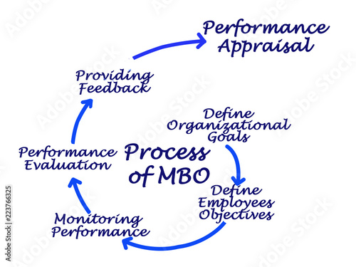 Process of MBO. photo