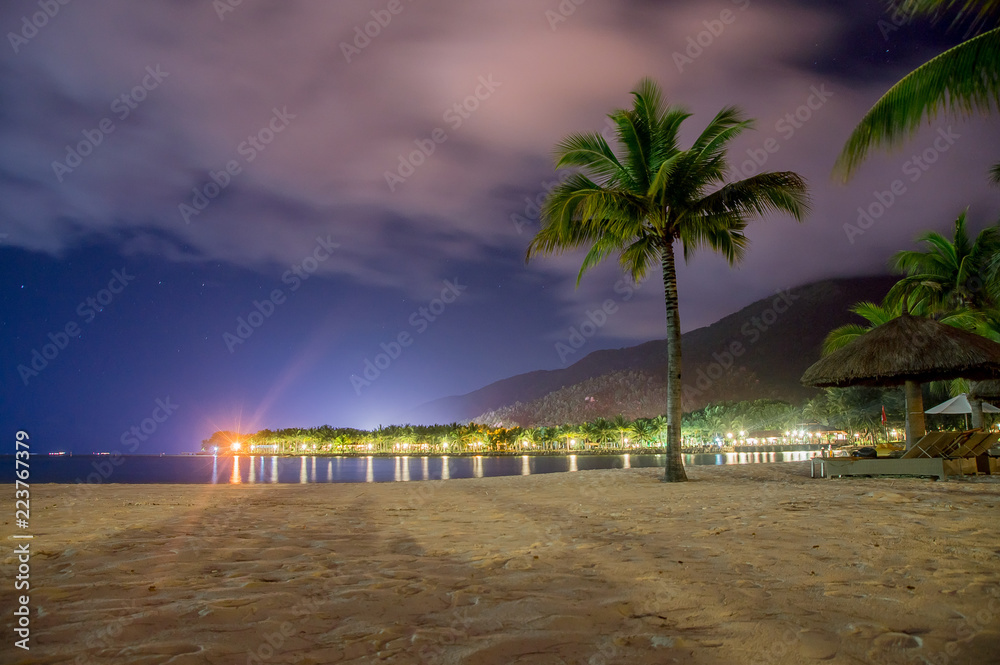 Naklejka premium Palm tree on the beach